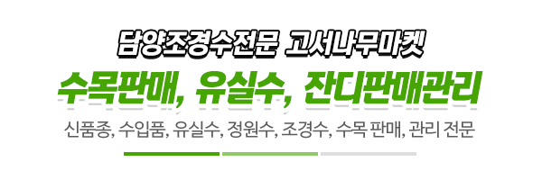 고서나무마켓_사진_제목