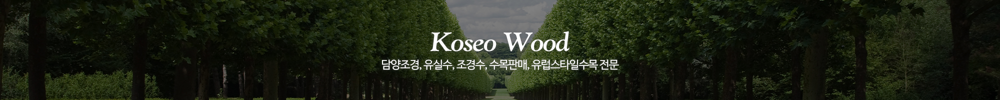 고서나무마켓_이미지pc