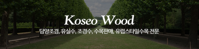 고서나무마켓_이미지m