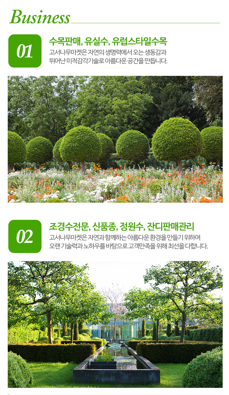 고서나무마켓_내용