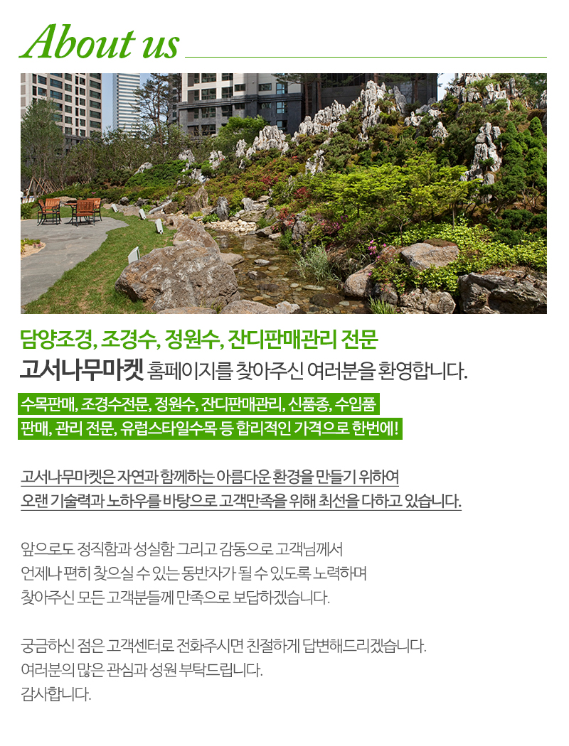 고서나무마켓_내용